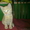 2х котят в добрые руки - Изображение #4, Объявление #81401