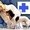 Ветеринарная помощь на дому,  Стрижки животных. 291-13-16 #127039