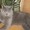 Красавец кот Адик породы скоттиш страйт приглпшает кошечек фолд и страйт на вязк - Изображение #2, Объявление #170597
