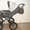 Комбинированная детская коляска Roan Marita 2 в 1 - Изображение #1, Объявление #199545