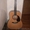 Продам гитару Hohner HW 220 N - Изображение #1, Объявление #240763