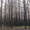продаю лес кругляк пиловочник (горельник) - Нижний Новгород #312767