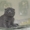  шотландские котята - Изображение #2, Объявление #415420