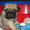Продаются очаровательные щенки мопса - Изображение #1, Объявление #447231