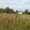 Земельный учсток в живописном месте с видом на пруд #446695