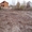 Земельный участок в д.Новопокровское, Советский р-н - Изображение #2, Объявление #491535