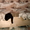 Продажа щенков лабрадора шоу класса - Изображение #2, Объявление #526018