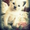 продам сиамских котяток - Изображение #2, Объявление #591948