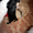 щенки Чихуахуа мини и стандарт редкого окраса  - Изображение #9, Объявление #565003