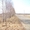 Земельный участок на Горьковском море, 32 Га - Изображение #3, Объявление #577182