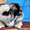 Продаются подрощенные щенки пекинеса. З мальчика и 1 девочка ,возраст 4 месяца, - Изображение #3, Объявление #622646