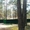 База отдыха в сосновом лесу - Изображение #1, Объявление #651667