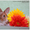 карликовые кролики породы рекс и сатин-рекс - Изображение #3, Объявление #650916