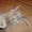 британские котята скоттиш страйт - Изображение #4, Объявление #696574
