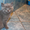 Котята скоттиш-фолд и скоттиш-страйт - Изображение #10, Объявление #686530
