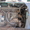 трактор ЮМЗ с(нож спереди), большая кабина - Изображение #2, Объявление #774703