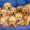 Сухой полнорационный корм для собак ТМ Дилли #1110089