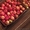 Продаю яблоки зимних сортов в  г Нижний Новгород пос Новинки - Изображение #4, Объявление #1528805