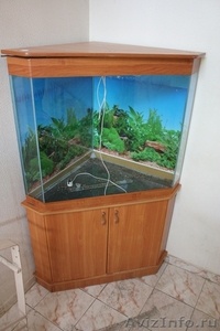 Продам два аквариума - Изображение #2, Объявление #361041
