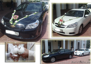 Автомобили на свадьбу - Изображение #1, Объявление #349071
