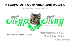 Гостиница для кошек и котов «Мур-Да-Мяу» - Изображение #1, Объявление #390989