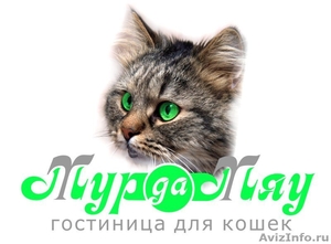 Гостиница для кошек и котов «Мур-Да-Мяу» - Изображение #2, Объявление #390989