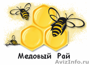 Мёд Алтайского края - Изображение #1, Объявление #488490