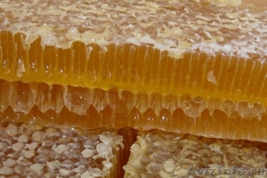Мёд Алтайского края - Изображение #3, Объявление #488490