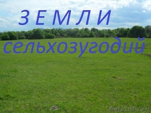 Продаю земельный участок сельхозназначения в Нижегородской области  - Изображение #1, Объявление #526777