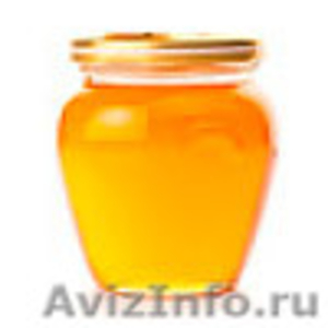 Мёд от компании ООО "Вкусный орех". - Изображение #1, Объявление #853901
