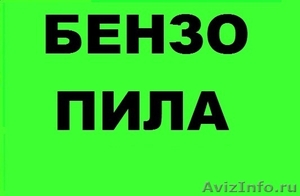 Спил деревьев 910 387 01-50 в Н.Н. бензопилы. - Изображение #1, Объявление #1047028