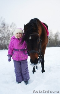 конные прогулки,уроки верховой езды,фотосессии с лошадьми и пони. - Изображение #1, Объявление #879827