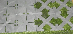 Продам две формы по производству газонной плитки Presma  - Изображение #2, Объявление #1442309
