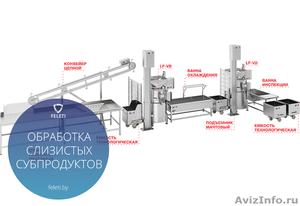 Автоматическая линия обработки слизистых субпродуктов КРС Feleti - Изображение #1, Объявление #1563871