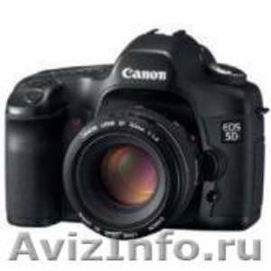 Продаю Canon EOS 5D body (без объектива)  - Изображение #1, Объявление #351